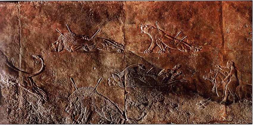 Рельеф из дворца Ашшурбанапала в Ниневии Фрагмент Ассирия 669 около 635 до - фото 25