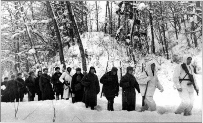 Войска 33й армии в тылу врага Западный фронт январь 1942 года Советская - фото 64