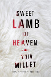 Lydia Millet: Sweet Lamb of Heaven