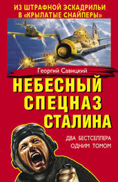 Георгий Савицкий: Небесный спецназ Сталина. Из штрафной эскадрильи в «крылатые снайперы» (сборник)