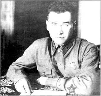 Бригадный комиссар Гимнастерка с открытой планкой застежки по образцу НКВД - фото 7