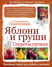 Октябрина Ганичкина: Яблони и груши: секреты урожая от Октябрины Ганичкиной