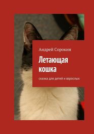 Андрей Сорокин: Летающая кошка. Сказка для детей и взрослых