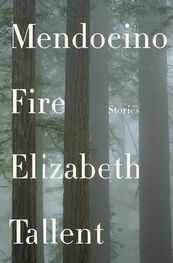 Elizabeth Tallent: Mendocino Fire