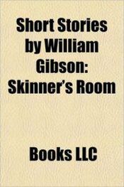 Уильям Гибсон: Skinner's room