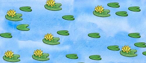 Недалеко на листке кувшинки сидела маленькая жаба и брызгалась в Ёжика водой - фото 23