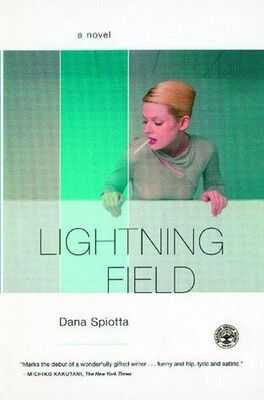 Dana Spiotta Lightning Field
