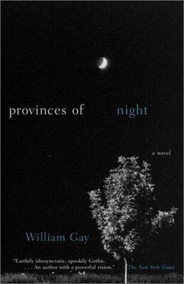 William Gay Provinces of Night