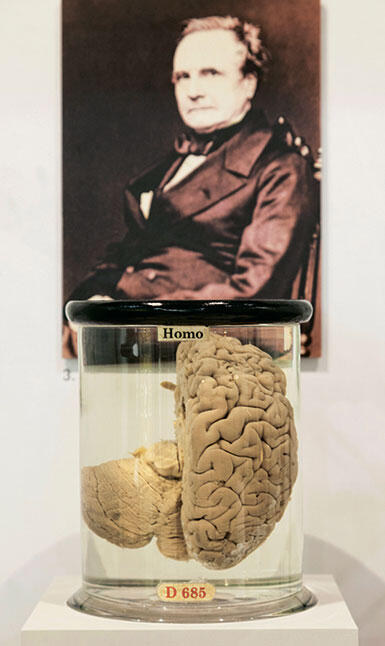 Мозг Бэббиджа можно увидеть в лондонском Музее науки RGB Ventures LLC dba - фото 121