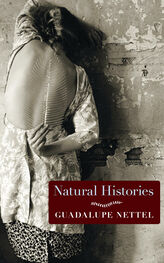 Guadalupe Nettel: Natural Histories: Stories