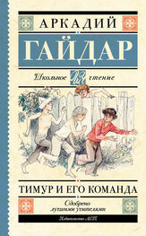 Аркадий Гайдар: Тимур и его команда (сборник)