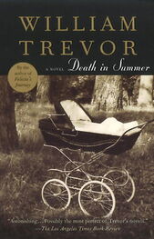 William Trevor: Death in Summer