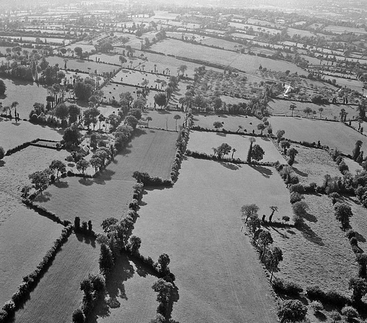 Печально знаменитые живые изгороди Клайд Стодгилл На поле лежали тела - фото 8