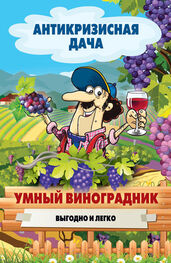 Сергей Кашин: Умный виноградник. Выгодно и легко