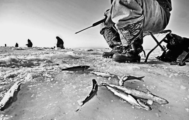 Амурский залив корюшка пошла Фото Ю Мальцева Чехов писал что на Сахалине - фото 3
