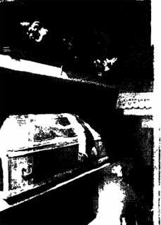 Саркофаг с телом Алехина Памятник на парижском кладбище Монпарнас куда - фото 82