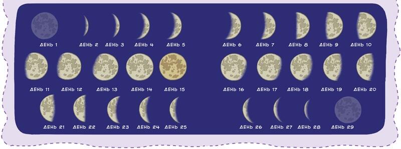 Мы видим Луну целиком или частично в зависимости от того как падает на неё - фото 13