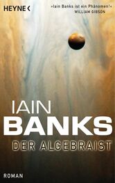 Iain Banks: Der Algebraist