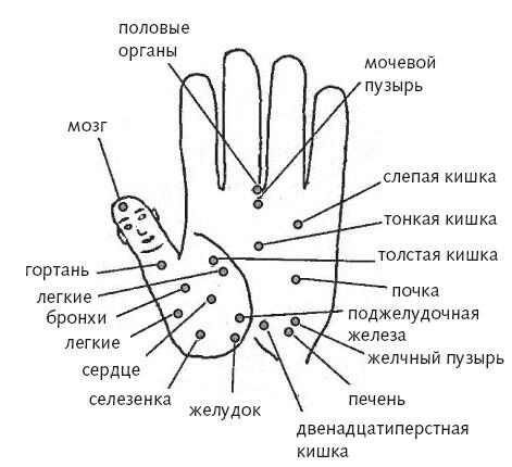 Рис 4 а Зонирование ладони Своевременно определить болезненную зону на руке - фото 14