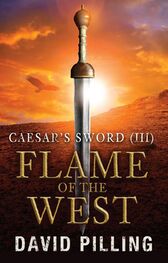 David Pilling: Flame of the West