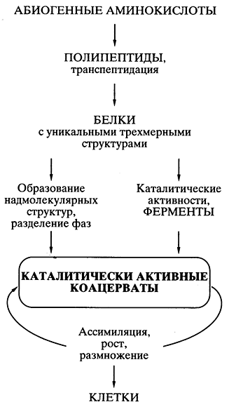 Рис 5 Схематическое представление пути происхождения жизни согласно - фото 7