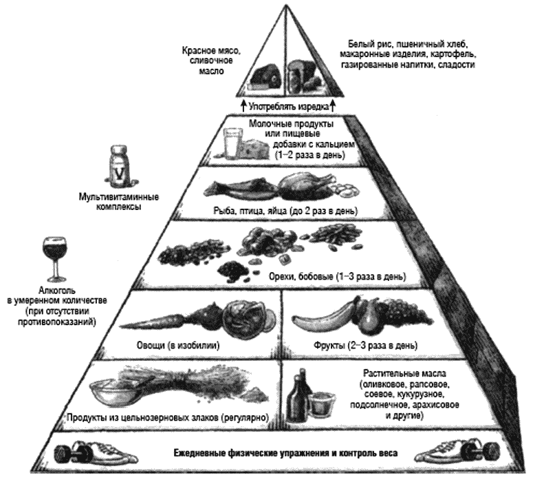 Рис 2 Пирамида здорового питания Основанная на серьезных научных - фото 2