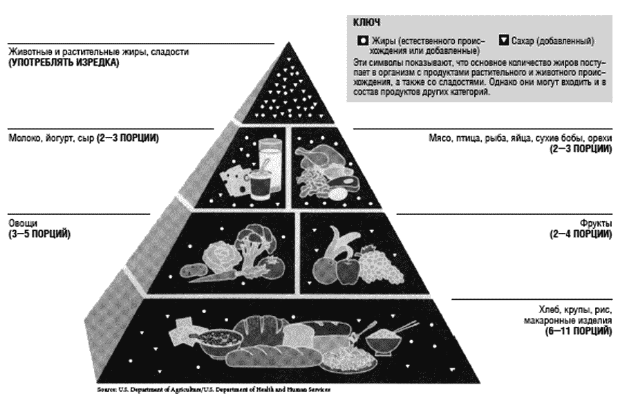 Рис 3 Пирамида министерства сельского хозяйства США 19922005 Несмотря на - фото 3