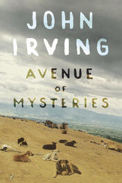 John Irving: Avenue of Mysteries