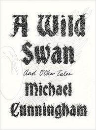 Michael Cunningham: A Wild Swan: And Other Tales