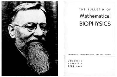 Николас Рашевскиосновал Общество математической биологии а в 1939 году стал - фото 1