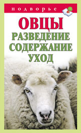 Тамара Мороз: Овцы. Разведение. Содержание. Уход