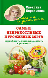 Светлана Королькова: Самые неприхотливые и урожайные сорта. Как выбирать, правильно сочетать и ухаживать