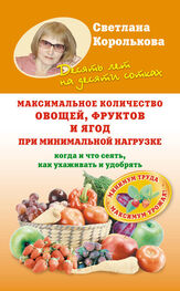 Светлана Королькова: Максимальное количество овощей, фруктов и ягод при минимальной нагрузке