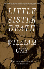 William Gay: Little Sister Death