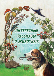 Н. Рудакова: Интересные рассказы о животных
