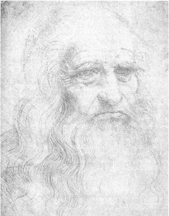 Рис 1 Неизвестный мастер Портрет Леонардо да Винчи Красный мел 333x213 - фото 1