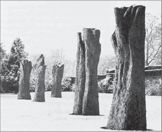Магдалена Абаканович Рукоподобные деревья Бронза 19921993 В отличие от - фото 2