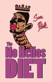 Sam Pink: The No Hellos Diet