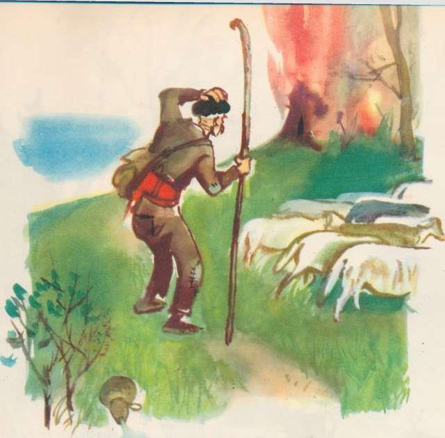 Пригнал однажды дед Павел своё стадо на луг у опушки леса вдруг слышит в лесу - фото 3