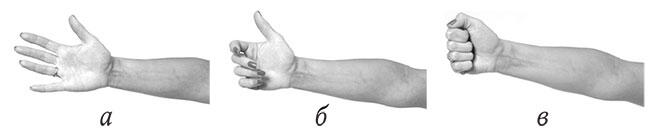 Рис 10 Упражнение 4Руки вытянуты вперед параллельно полу ладонями вниз - фото 11