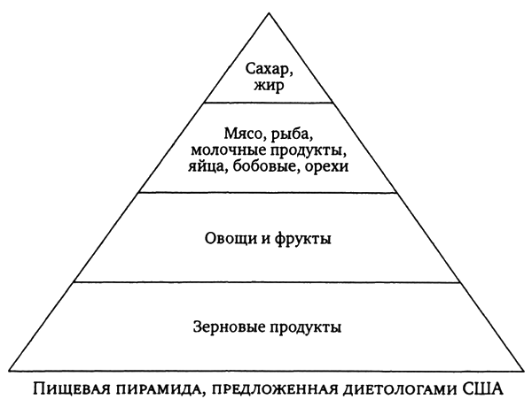 Пищевая пирамида предложенная диетологами США Пирамида дает наглядное - фото 1