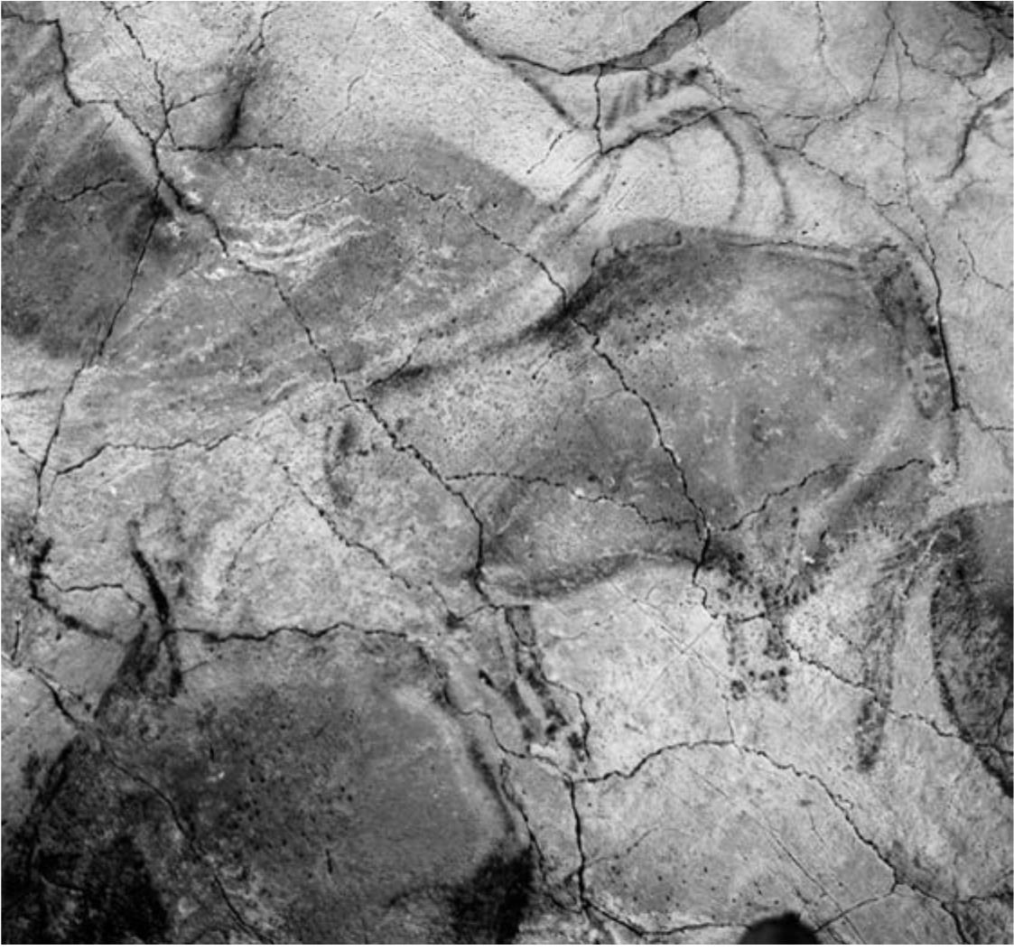Изображение бизона Верхний палеолит Пещера Альтамира Испания Становление - фото 2