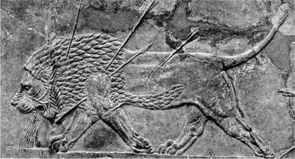 Раненый лев Ассирийский рельеф VII в до н э Древний ЕгипетВ середине - фото 12