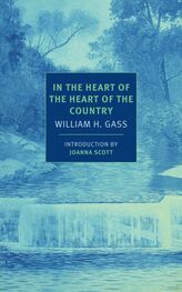 William Gass: In the Heart of the Heart of the Country
